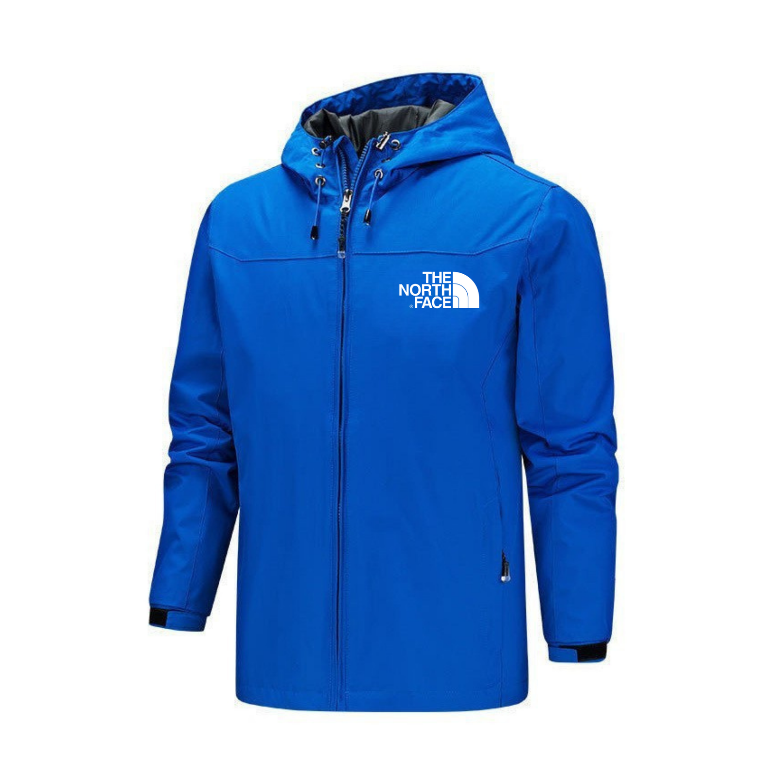 The North Face - winter jacket with hood